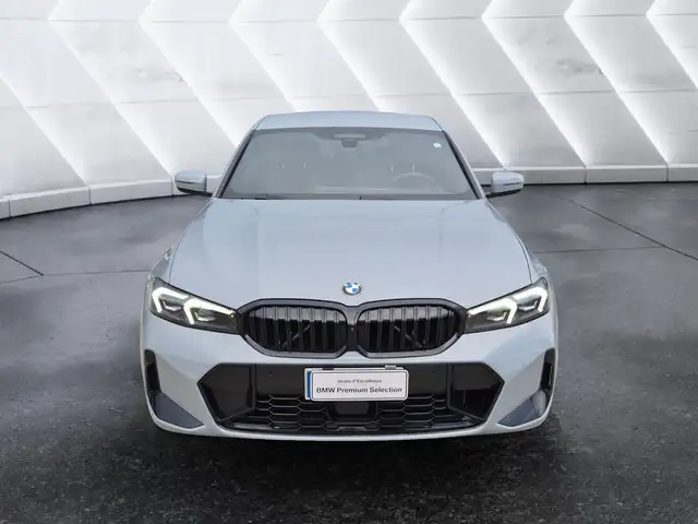 BMW 3 Series view 2