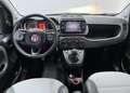 Fiat Panda CROSS 0.9 TWIN AIR TURBO 4X4 Bianco - thumbnail 10