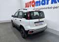 Fiat Panda CROSS 0.9 TWIN AIR TURBO 4X4 Bianco - thumbnail 5