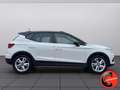 SEAT Arona 1.0TGI FR-CERCHI17-CRUISE-NAVI-SENSORI-DIURNI LEED Bianco - thumbnail 3