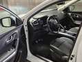 Renault Kadjar dCi 110 Energy eco² Intens Blanc - thumbnail 6