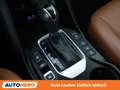 Hyundai SANTA FE 2.2 CRDi Platin 4WD Grau - thumbnail 25