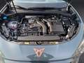 CUPRA Terramar 1.5 eTSI 110 kW EU6e digitales Cockpit LED ACC App Blu/Azzurro - thumbnail 10