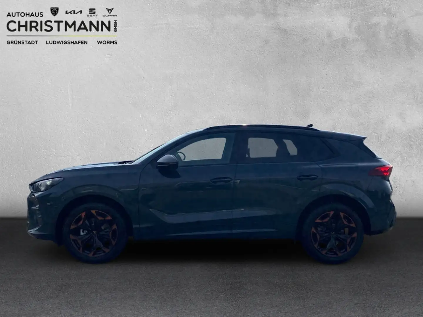 CUPRA Terramar 1.5 eTSI 110 kW EU6e digitales Cockpit LED ACC App Blu/Azzurro - 2