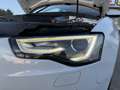 Audi A5 A5 I  Sportback Sportback 2.0 tdi S-Line Bianco - thumbnail 6