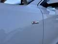 Audi A5 A5 I  Sportback Sportback 2.0 tdi S-Line Bianco - thumbnail 5