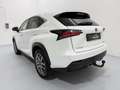 Lexus NX 300h Limited Hybrid Aut. Weiß - thumbnail 8