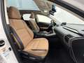 Lexus NX 300h Limited Hybrid Aut. Weiß - thumbnail 14