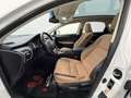 Lexus NX 300h Limited Hybrid Aut. Weiß - thumbnail 10