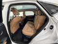 Lexus NX 300h Limited Hybrid Aut. Weiß - thumbnail 13