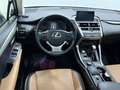 Lexus NX 300h Limited Hybrid Aut. Weiß - thumbnail 12