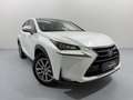 Lexus NX 300h Limited Hybrid Aut. Weiß - thumbnail 1