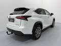 Lexus NX 300h Limited Hybrid Aut. Weiß - thumbnail 7