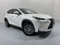 Lexus NX 300h Limited Hybrid Aut. Weiß - thumbnail 2
