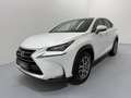 Lexus NX 300h Limited Hybrid Aut. Weiß - thumbnail 4