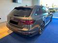 Audi RS4 RS4 Avant 2.9tfsi Exclusive edition quattro 450cv Szary - thumbnail 2