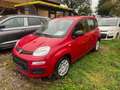Fiat Panda 1.0 GSE Hybrid Rot - thumbnail 1