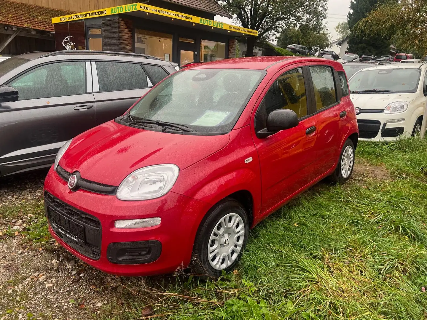 Fiat Panda 1.0 GSE Hybrid Rot - 1