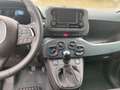 Fiat Panda 1.0 GSE Hybrid Rot - thumbnail 8
