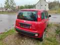Fiat Panda 1.0 GSE Hybrid Rot - thumbnail 4