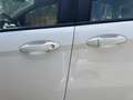 Ford B-Max Easy 1,0 EcoBoost Start/Stop - thumbnail 14