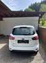 Ford B-Max Easy 1,0 EcoBoost Start/Stop - thumbnail 2