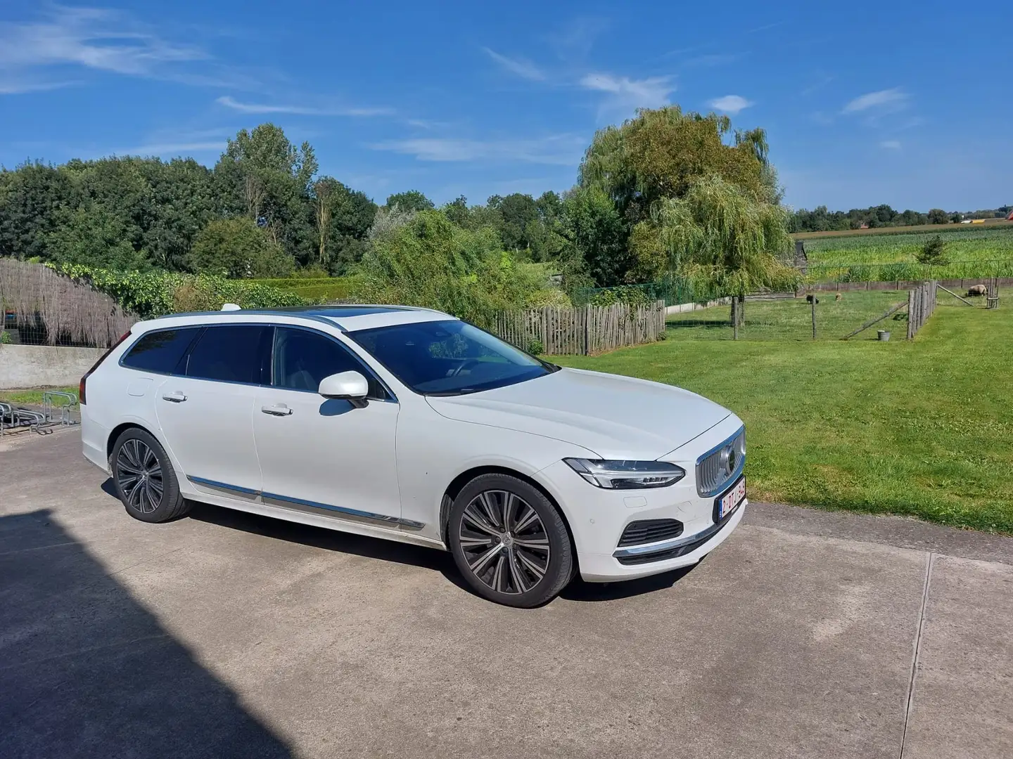 Volvo V90 2.0 T6 Recharge AWD Inscription Blanc - 1