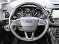 Ford Grand C-Max Titanium 1.5 EcoBoost EU6d-T 5-Sitzer AHK-klappbar Kék - thumbnail 6