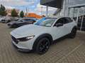 Mazda CX-30 2.5L  140PS Nagisa, sofort - thumbnail 2