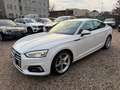 Audi A5 2.0 TDI Sportback sport*Xenon*Navi*Top Weiß - thumbnail 1