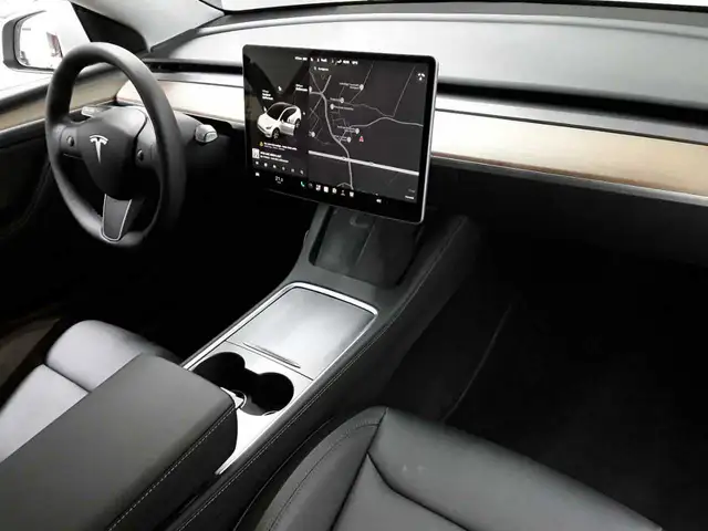 Tesla Model Y view 9