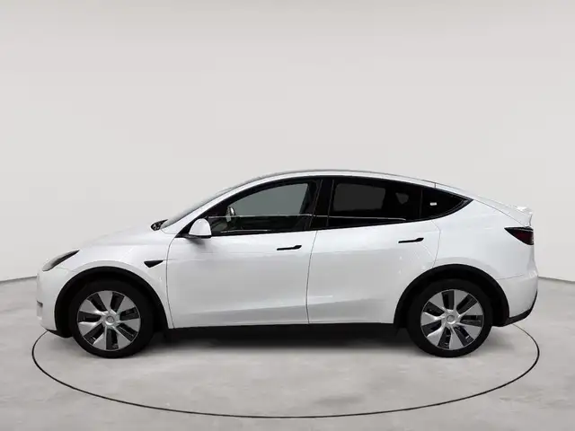 Tesla Model Y view 6