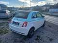 Fiat 500C 500C 1,2 69 Collegione Weiß - thumbnail 5