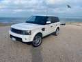 Land Rover Range Rover Sport 3.0 tdV6 HSE auto Bianco - thumbnail 1
