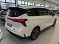 EVO EVO Electric 1.5 turbo Gpl 167cv dct Weiß - thumbnail 3