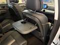 EVO EVO Electric 1.5 turbo Gpl 167cv dct Weiß - thumbnail 11