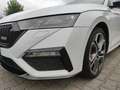 Skoda Octavia RS 1.4 TSI IV DSG White - thumbnail 21
