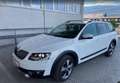 Skoda Octavia Octavia Combi 2,0 TDI 4x4 Scout DSG Scout Weiß - thumbnail 2