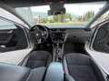 Skoda Octavia Octavia Combi 2,0 TDI 4x4 Scout DSG Scout Weiß - thumbnail 5