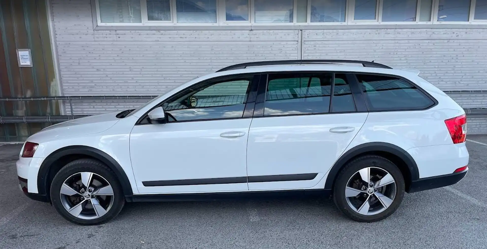 Skoda Octavia Octavia Combi 2,0 TDI 4x4 Scout DSG Scout Weiß - 1