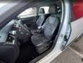 Skoda Octavia Octavia Combi 2,0 TDI 4x4 Scout DSG Scout Weiß - thumbnail 7