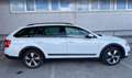 Skoda Octavia Octavia Combi 2,0 TDI 4x4 Scout DSG Scout Weiß - thumbnail 3
