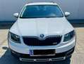 Skoda Octavia Octavia Combi 2,0 TDI 4x4 Scout DSG Scout Weiß - thumbnail 12
