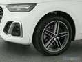 Audi SQ5 TDI Navi,Leder,LED,Kamera Weiß - thumbnail 15