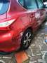 Nissan Pulsar Pulsar 1.5 dci Acenta 110cv Rosso - thumbnail 7