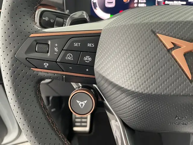 Cupra Terramar view 14