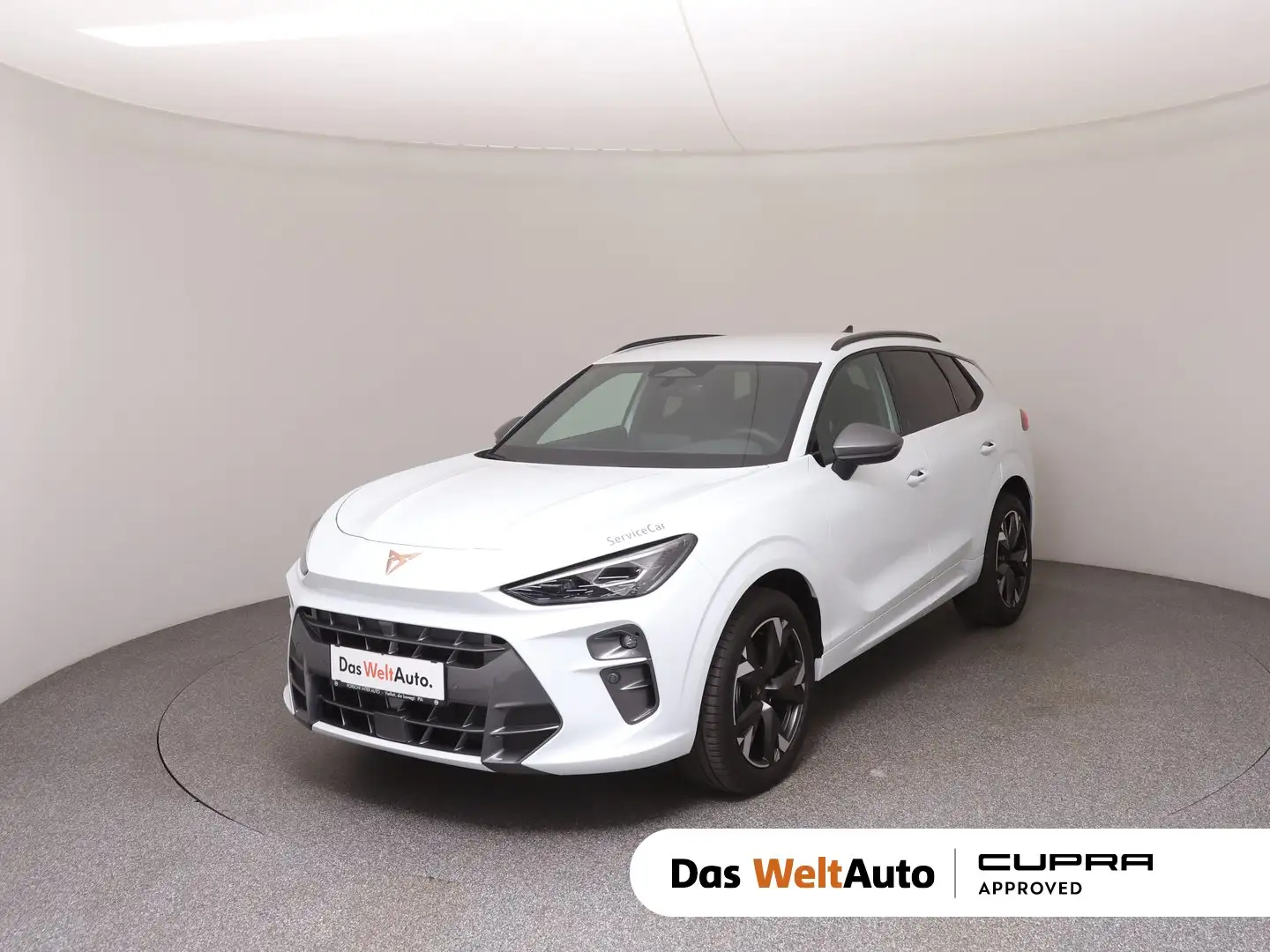 CUPRA Terramar 1.5 e-TSI 150 PS DSG Weiß - 1