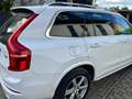 Volvo XC90 XC90 Diesel D5 AWD Geartronic Weiß - thumbnail 3