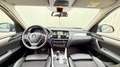 BMW X3 xDrive 2.0d Erstbesitz voller Service Heft Grau - thumbnail 10
