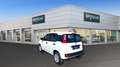 Fiat Panda 0.9 TwinAir Turbo Natural Power Easy Bílá - thumbnail 7